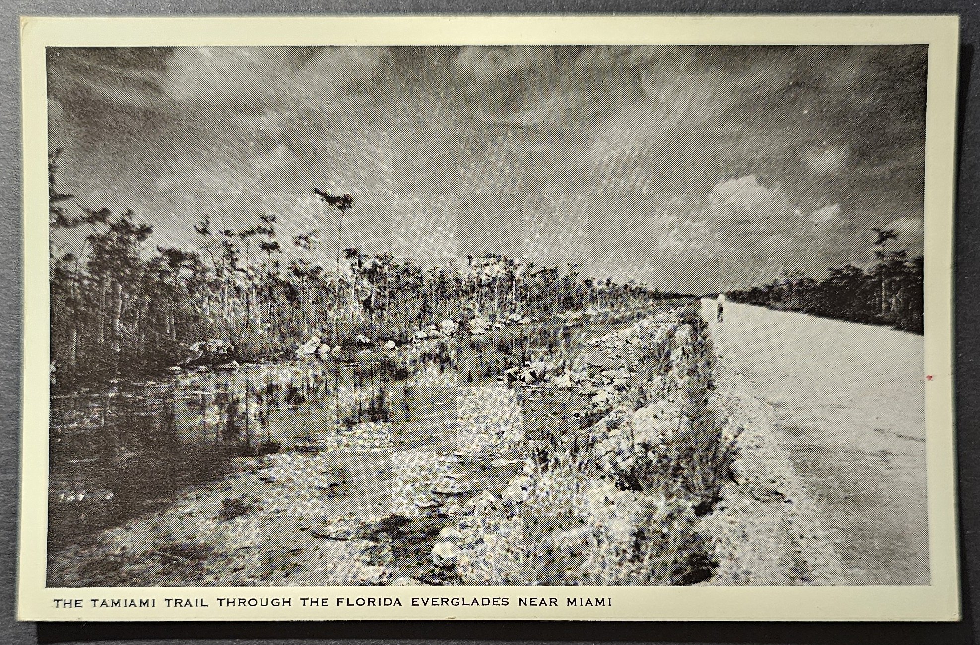 (image for) postcard USA - FL - Florida #0060